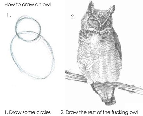 [owl[2].jpg]